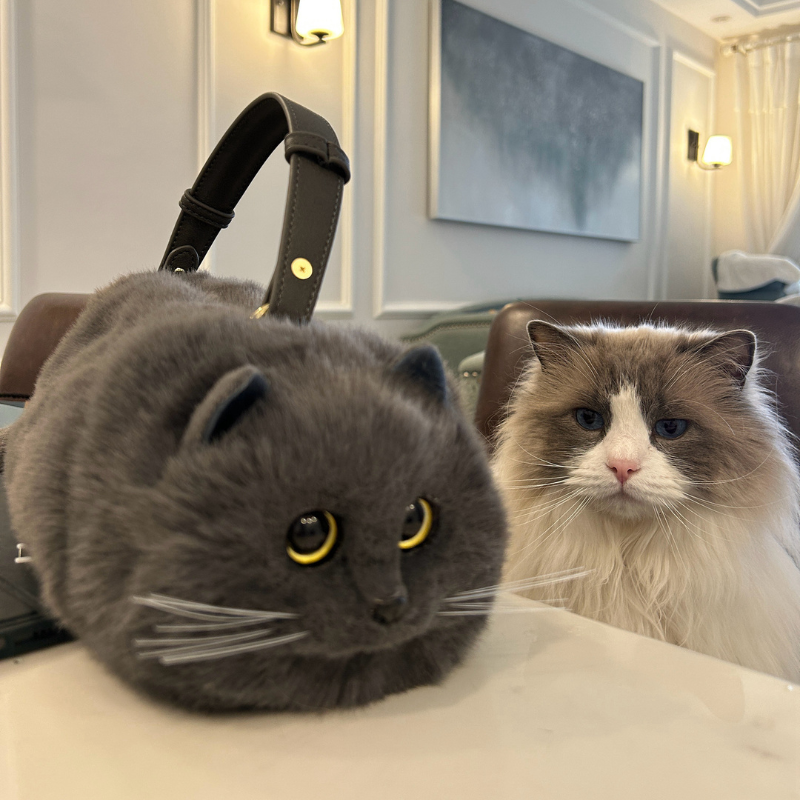 The Kitty Handbag